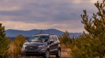 green-motion-car-rental